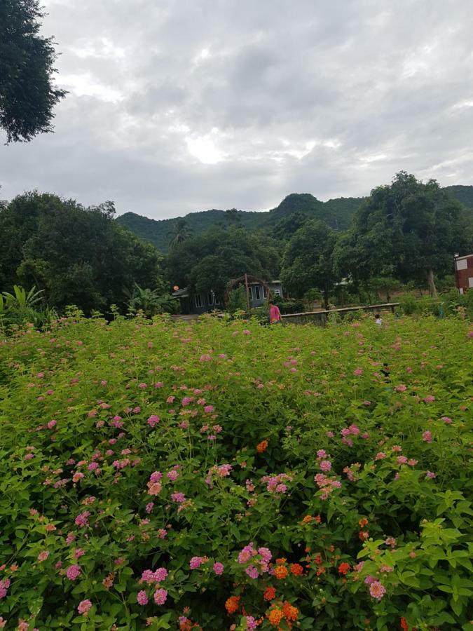 Blue Mountain Resort Sai Yok Exteriör bild